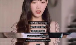 日韩性视频网站,内容解析与行业现状